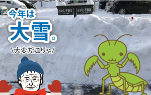 長野市民の冬久しぶりに感じています
