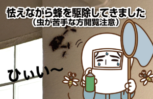 怯えながら蜂駆除してきました（虫が苦手な方閲覧注意）