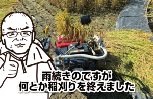雨続きのですが何とか稲刈りを終えました