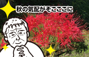 秋の気配がそこここに
